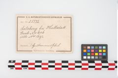 Etikett zu Bronzehalbmondgehängefibel (NHMW-PRAE-025552)